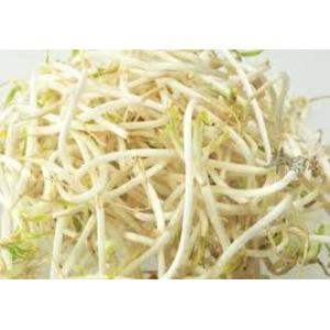 豆芽