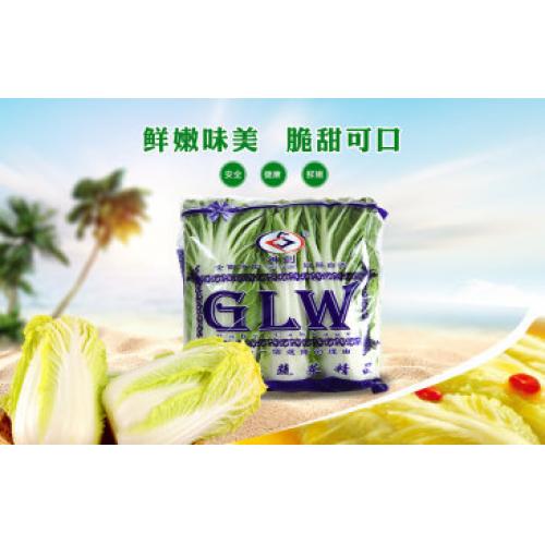 娃娃菜