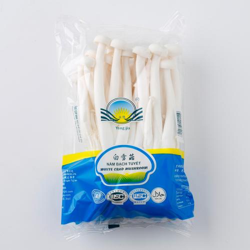白雪菇/海鲜菇